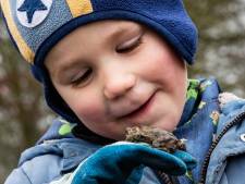 Pad Jacob (en duizenden anderen) gered van gruwelijke dood in Deventer: ‘Toch een beetje sneu’