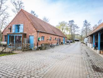 RESTOTIP. De Luysmolen: “Mijn eigen taart in mijn eigen zaakje, dat zag ik wel zitten”