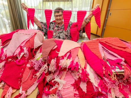 Handjes uit de mouwen voor de regenboogcommunity: deze Zeeuwen doen het werk op Roze Zaterdag in Goes