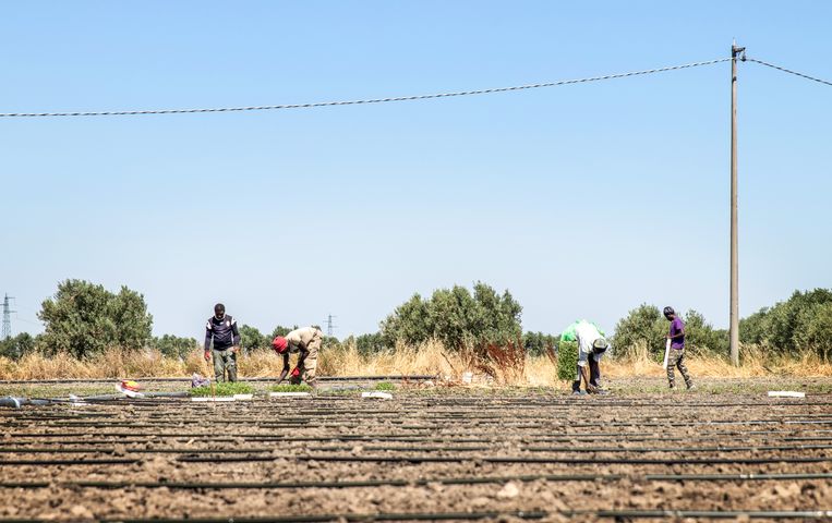 ‘Se l’avessi saputo non sarei mai venuto’