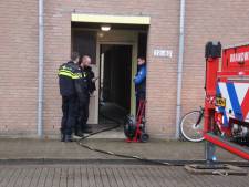 Brand in Zwolle: katten gered terwijl baasje met de hond liep