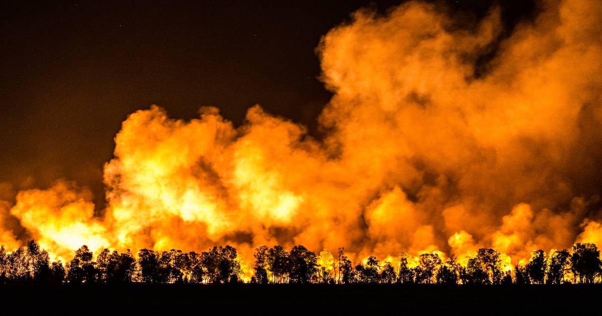 Experts waarschuwen voor onbeheersbare natuurbranden in ons land: ‘Nationaal actieplan nodig’
