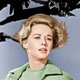 De films die u deze week moet zien (van 15 tot 21 december)