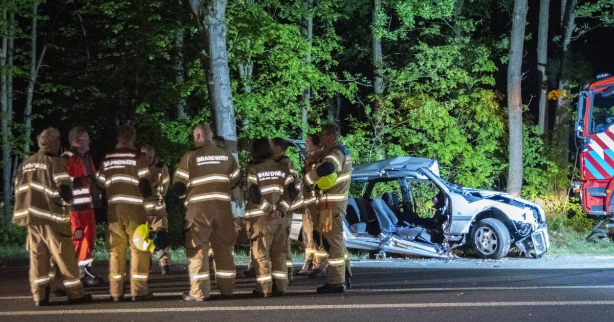 Man uit Doorwerth overleden na eenzijdig auto-ongeluk Utrechtseweg.