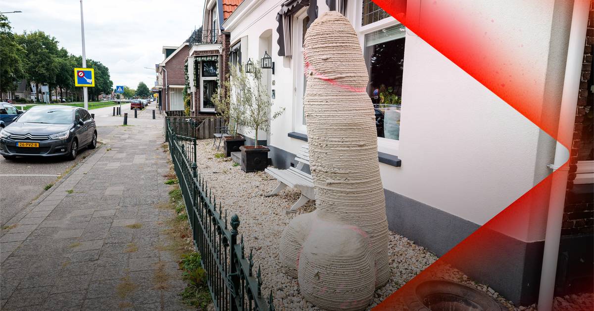 Pikant kunstwerk in Dedemsvaart • 14-jarige jongen neergestoken