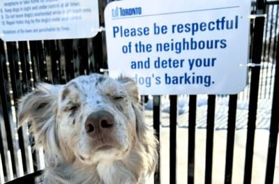 Canadese stad plaatst 'niet blaffen'-bord bij hondenspeelplaats, maar verwijdert het na kritiek