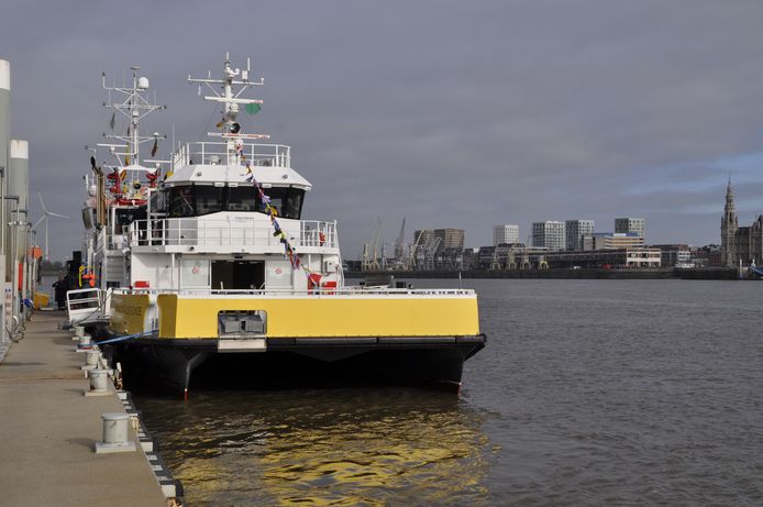 De feiten gebeurden op het ponton van de veerboot op de Antwerpse Linkeroever.