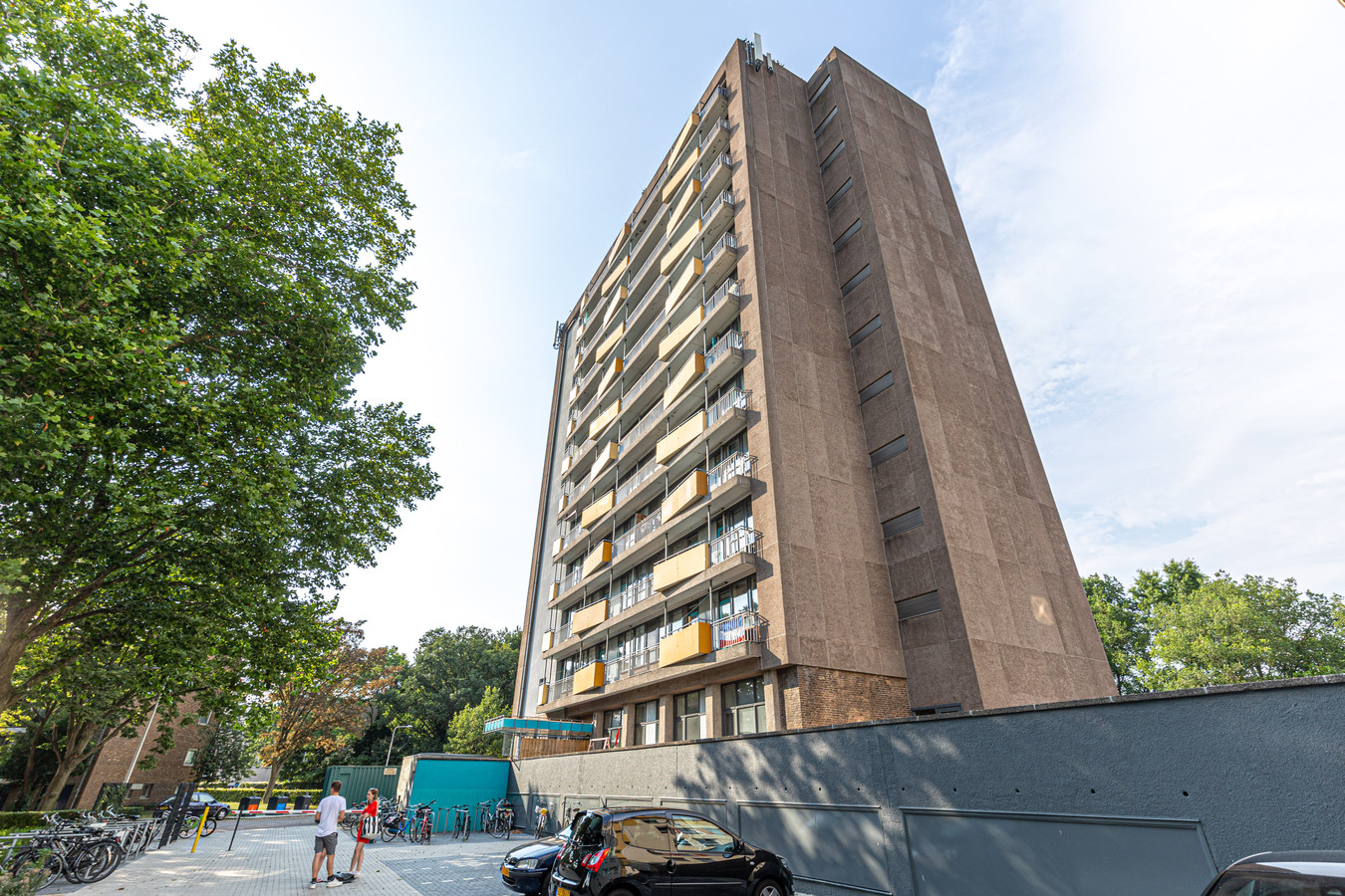 Enorme lelieschildering moet saaie muur van deze flat in Zwolle