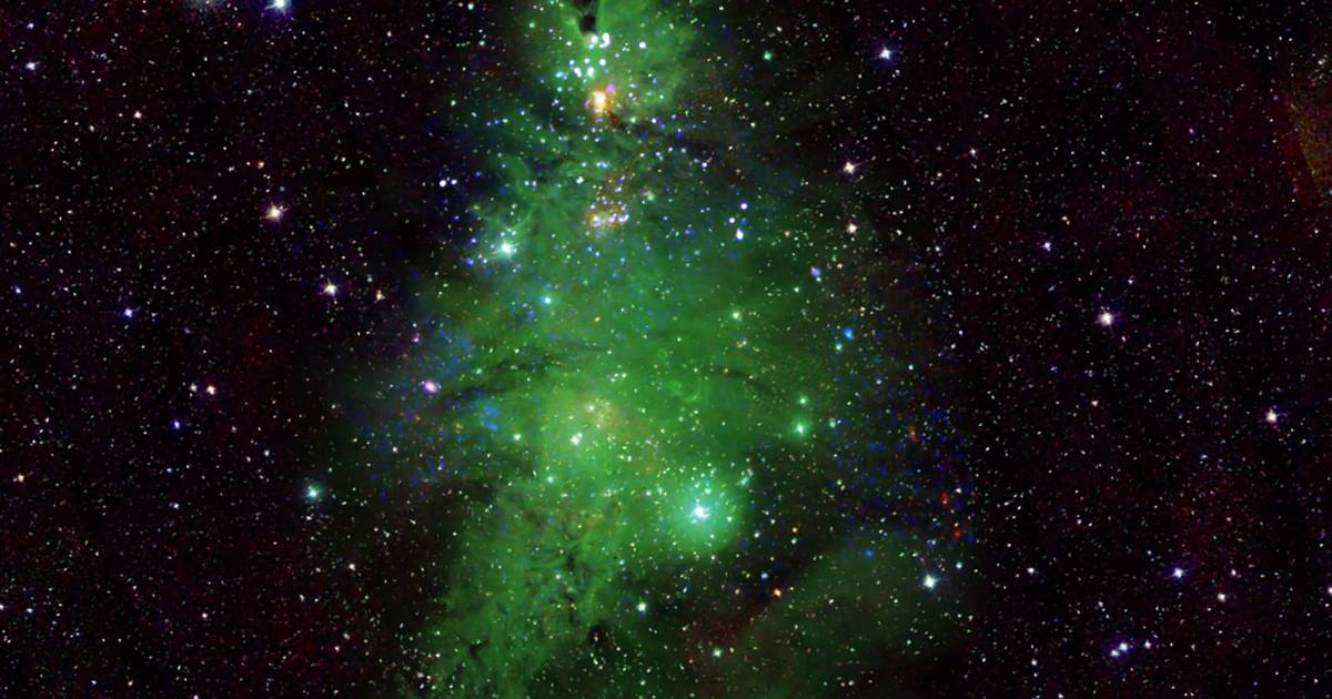 what a picture!  NASA finds a beautiful “Christmas tree cluster” sparkling in space |  Science and the planet