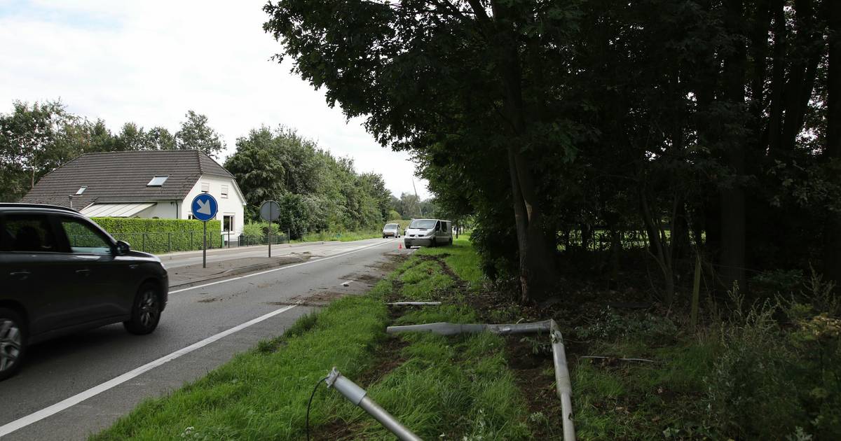 Il était au téléphone au volant, a remonté le rond-point et s’est écrasé dans un arbre |  Genève