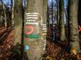 Partij voor de Dieren wil debat over omstreden kap van 800 bomen in Park Klarenbeek