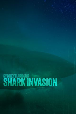 Sydney Harbour Shark Invasion