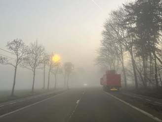 Winter was zacht en droog, maar somber: “Geen enkele dag met heldere hemel in Ukkel”