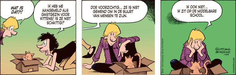 31 januari 2023. Beeld Scott Borgman