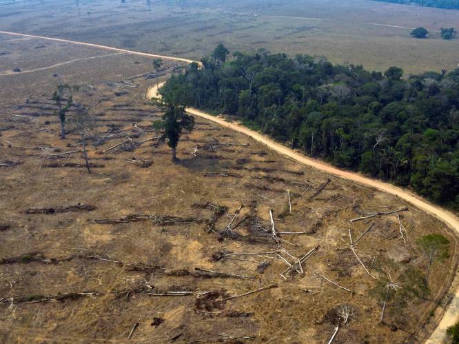 Bolsonaro klaagt over"brutale desinformatiecampagne" over Amazonewoud, terwijl ontbossing gestaag verder gaat