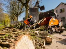 Honderden bomen extra tegen vlakte na droge jaren in de Achterhoek