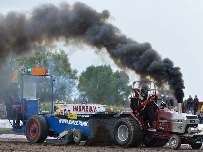 Wat te doen in Zuid-West-Vlaanderen dit weekend: van oldtimers spotten tot een koffiefestijn en Zonnebatjes