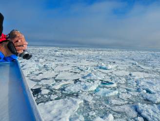De zee rond Groenland wordt minder zout en dat heeft grote gevolgen voor ons weer