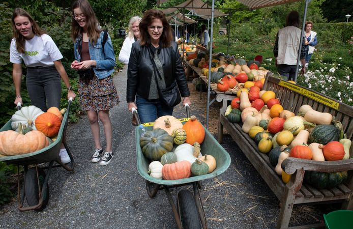 In de kasteeltuin bij kasteel Neerijnen wordt de jaarlijkse pompoenmarkt gehouden op Open Monumentendag.
