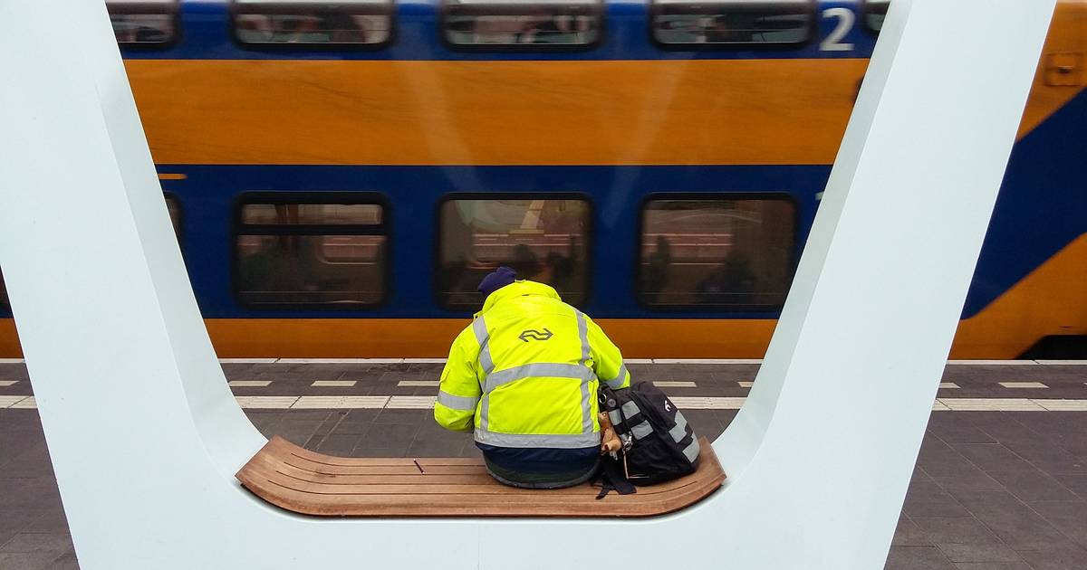Aanrijding bij Wolfheze legt treinverkeer tussen stations Arnhem-Centraal en Ede-Wageningen stil.