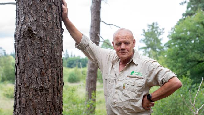 Theo Quekel beheert landgoed De Oude Hondsberg: ‘Ik ben maar een schakeltje in het grote geheel’