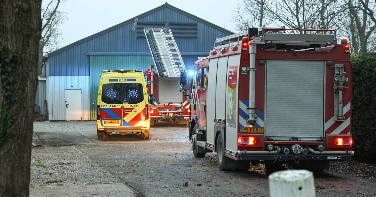 Man komt onder boom terecht op boerenerf bij Creil: slachtoffer met spoed naar het ziekenhuis