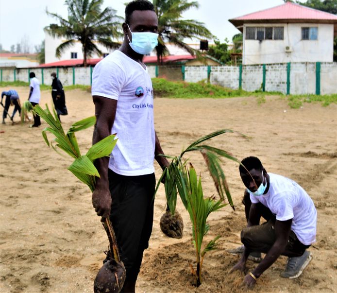 In Banjul worden palmbomen aangeplant om een natuurlijke duin te creëren waarmee de stad kan beschermd worden tegen de stijgende zeespiegel