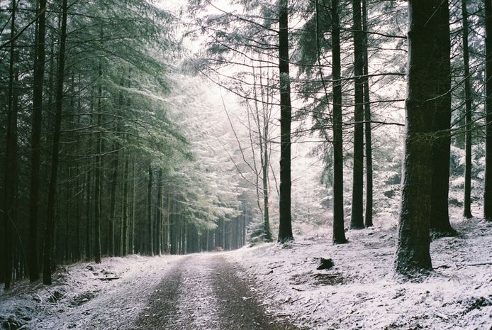 In de Ardennen blijft de sneeuw naar verwachting tijdelijk liggen.