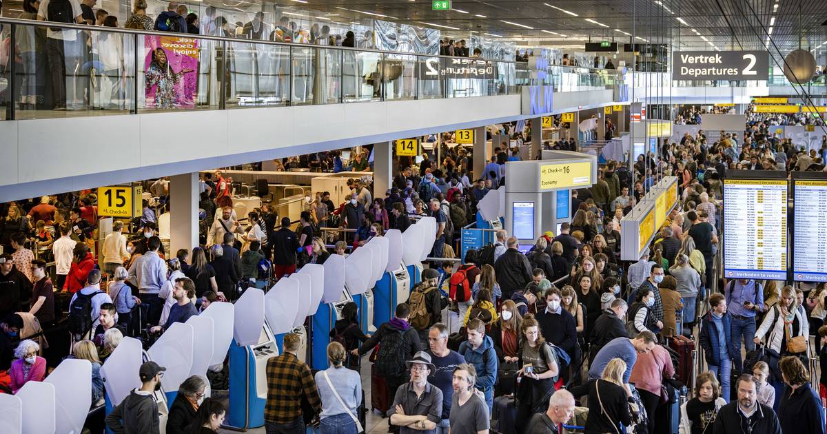 «Больше не приезжайте в аэропорт»: хаос в Схипхоле в самый загруженный день за многие годы после случайной забастовки сотрудников KLM |  за рубеж