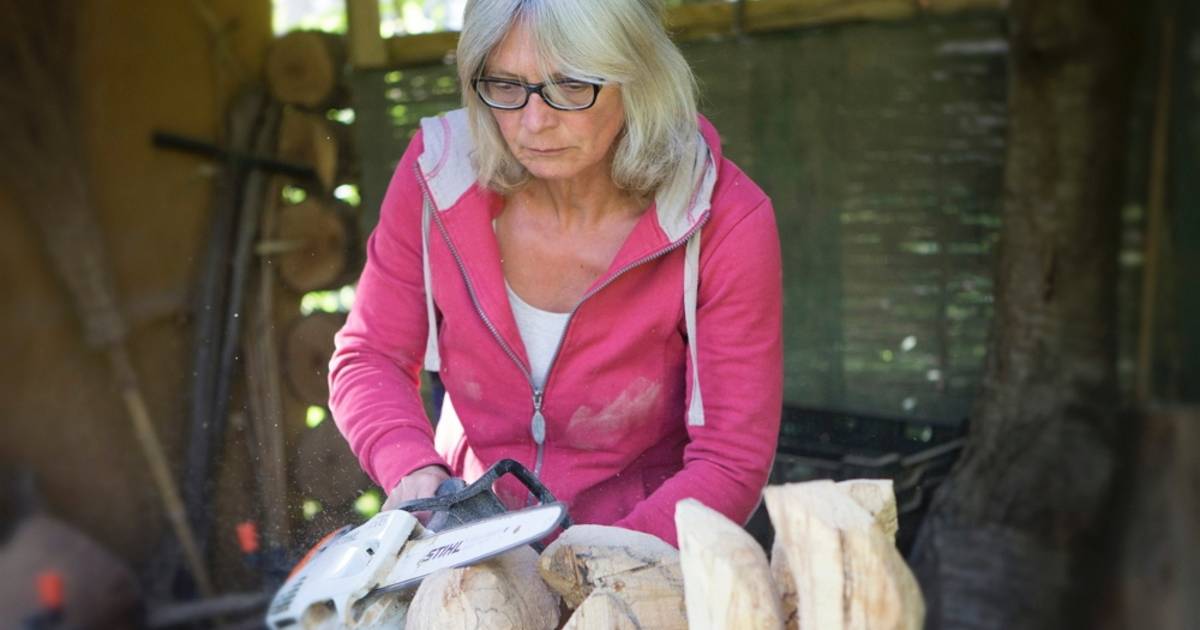 Kunstenares 'aait' hout met de kettingzaag De Vallei gelderlander.nl