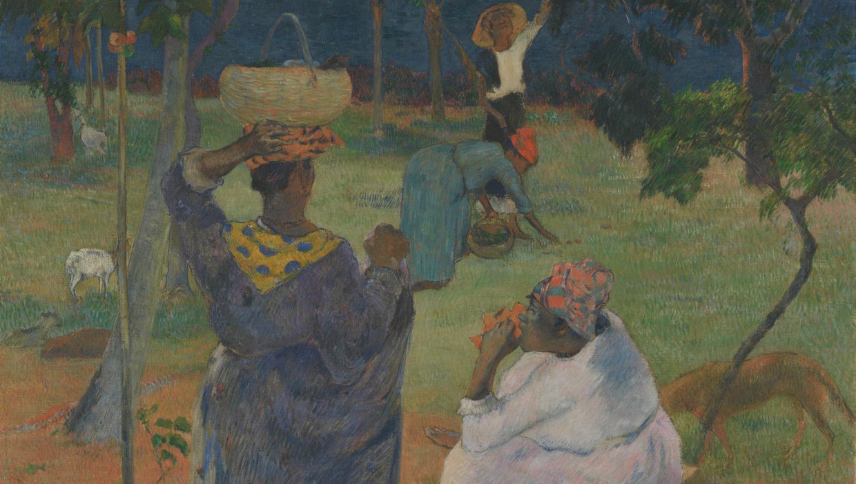 Op Martinique Kreeg Paul Gauguin De Smaak Te Pakken Het Parool