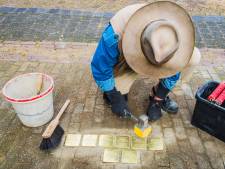 Familie van vermoorde Joden komt naar Oisterwijk voor ceremonie van struikelstenen
