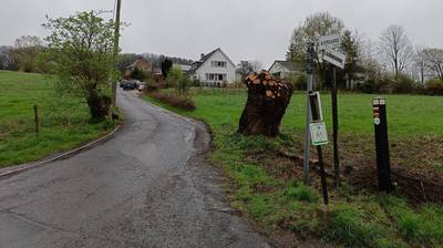 Tragisch ongeval in Dworp: man (59) overleden nadat echtgenote hem per ongeluk aanrijdt op oprit