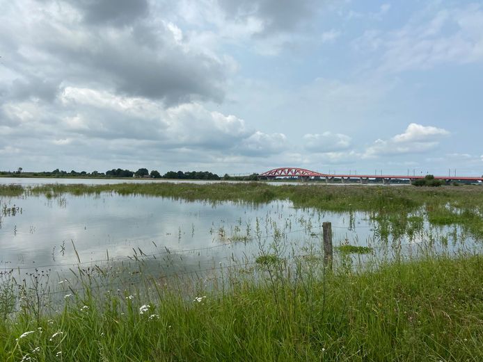 Met deze wandelapp zie je hoe hoog het water in Zwolle stond tijdens