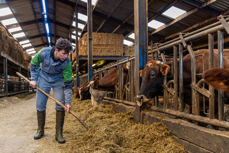 ‘Als ik na weken van trainen en koersen in Spanje terugkeer naar de boerderij, dan voel ik het: ik ben thuis. Ik ben er graag, ik
ben er gelukkig.’ Beeld Photonews
