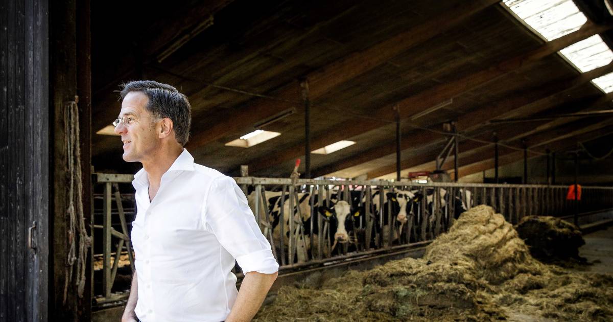 Premier Rutte op bezoek bij emotionele boeren: ‘Misschien had ik zichtbaarder moeten zijn’