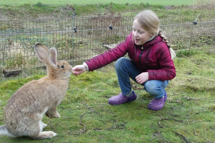 Sascha lokt een van de konijnen die vrij in de tuin kunnen rondrennen.