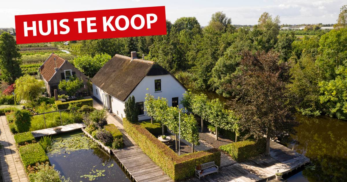 medaillewinnaar Zwart Gestreept Mooi vrijstaand wonen? Deze huizen staan te koop voor negen ton | Alphen |  AD.nl