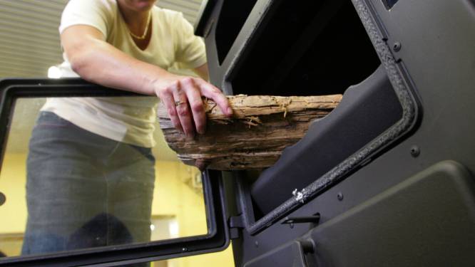 Energiecrisis doet Belg uitkijken naar alternatieven: verkoop warmtepompen, maar ook kachels in de lift