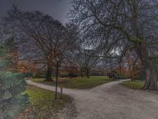 Taakstraf geëist tegen 18-jarige die Tyson in Zwols park beroofde en daarbij dwarslaesie opliep