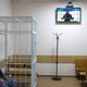 Ook na een jaar strafkamp heeft Navalny ‘geen seconde spijt’ van terugkeer naar Rusland