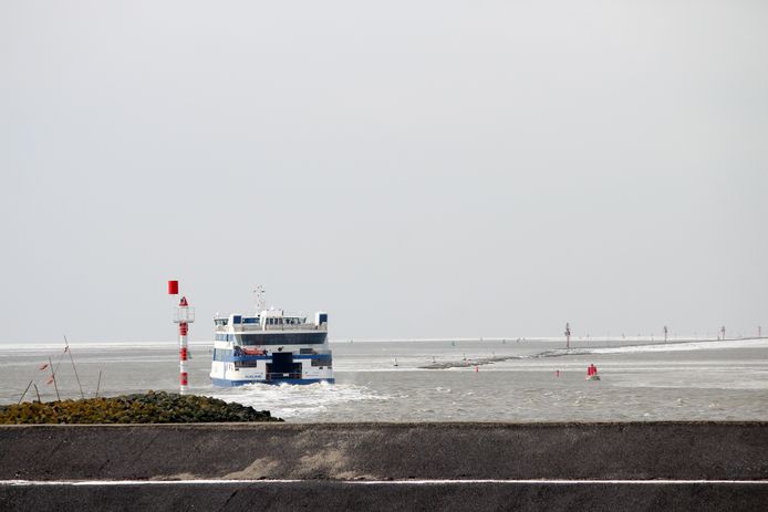 De veerboten naar de Waddeneilanden hebben opnieuw last van een zeer lage waterstand door de stevige oostenwind.