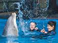 Het educatief programma van het Brugse dolfinarium omvat onder meer een kort aaimoment met de dolfijn.