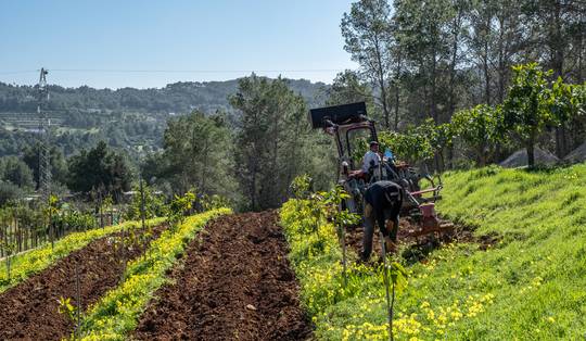 Om boer te worden op Ibiza moet je diepe zakken hebben en toch ook wel een beetje gek zijn