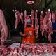 Stekelvarkens fokken? Zolang het nog mag, gebeurt het