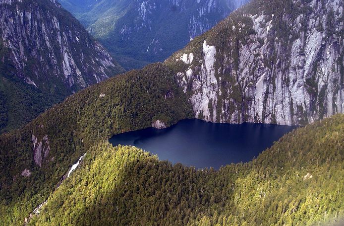Het Nationaal Park Pumalin strekt van de Andes tot de Pacifische Oceaan en was aangekocht door de in 2015 verongelukte Doug Tompkins, de oprichter van de kledingmerken Esprit en The North Face.