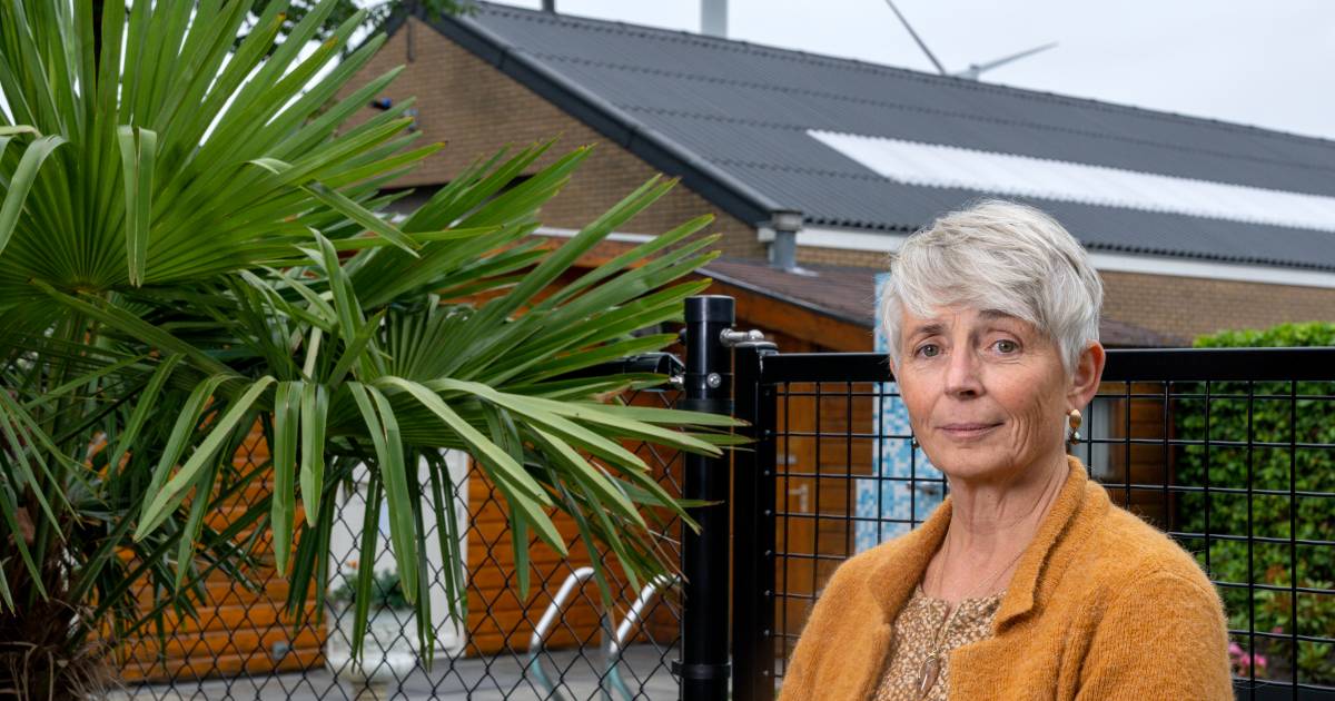 Huisarts Bescherm Mensen Beter Tegen Windmolens Ze Verstoren De Slaap Bommelerwaard Bd Nl