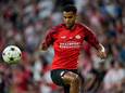 Cody Gakpo blijft tot de winterstop sowieso bij PSV.