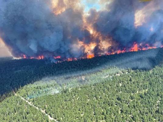 In de regio zijn door de hitte tal van bosbranden uitgebroken.
