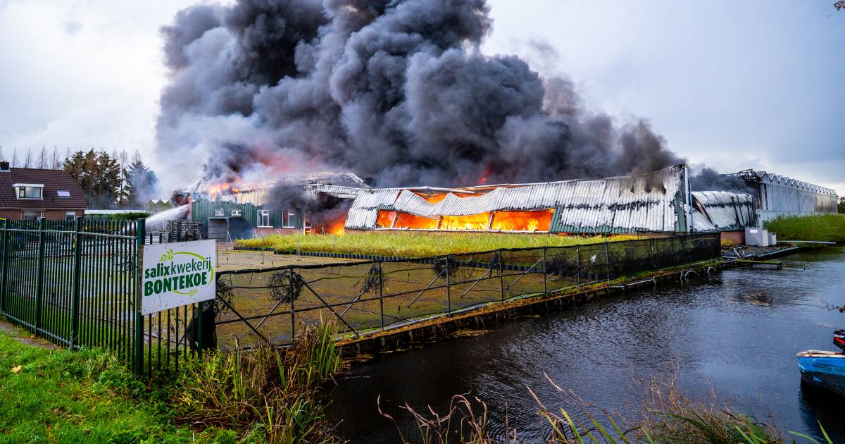 Waarschuwing voor scherpe scherven van zonnepanelen na grote brand bij kwekerij